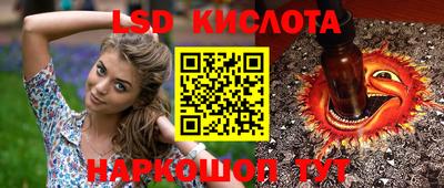 индика Пенза