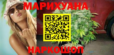 индика Пенза
