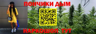 индика Пенза