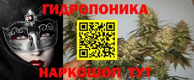 индика Пенза
